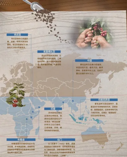 World coffee map highlighting Ethiopia, Brazil, and Yunnan growing regions